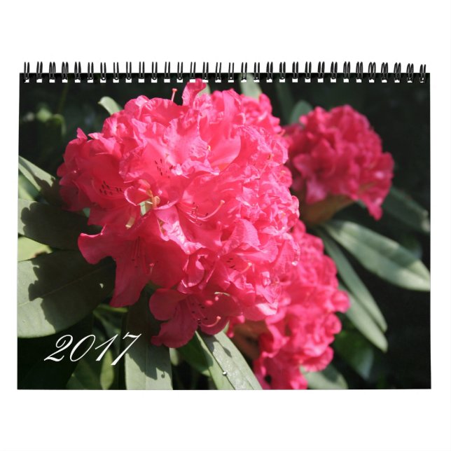 Maßgebliches Jahr 2017 Blumenfotografie-Kalender Kalender (Titelbild)