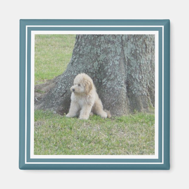 Maßgeschneiderte Fotoplatte Modernes Türkis & Weiß Magnet (Vorne)