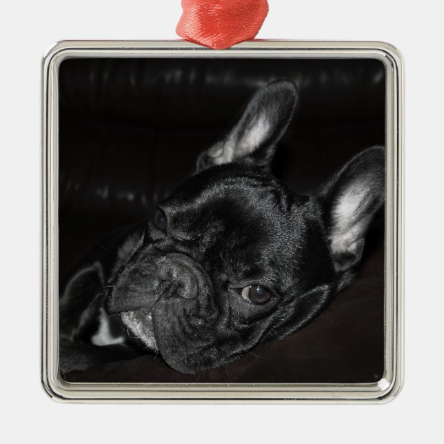 Maßgeschneiderte französische Bulldogge Ornament Aus Metall (Vorne)