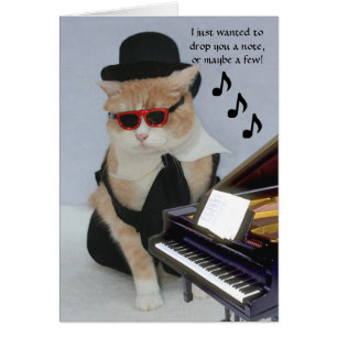Maßgeschneiderte Funny Cat