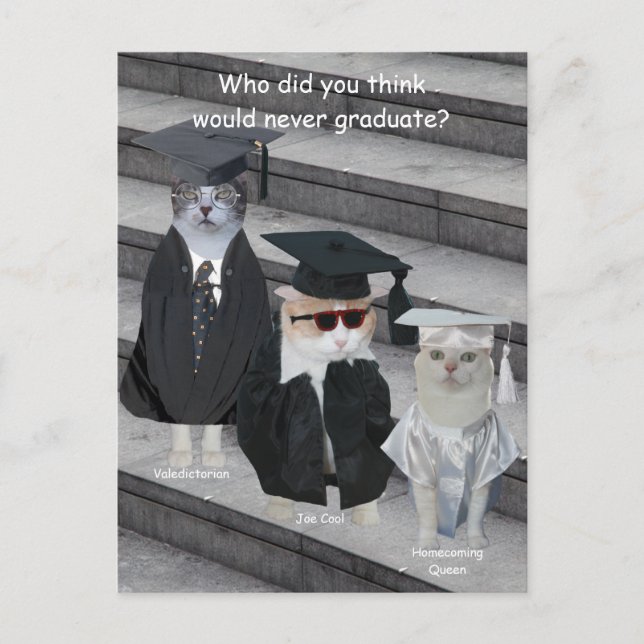 Maßgeschneiderte Funny Cat/Kitty Graduate Ankündigungspostkarte (Vorderseite)