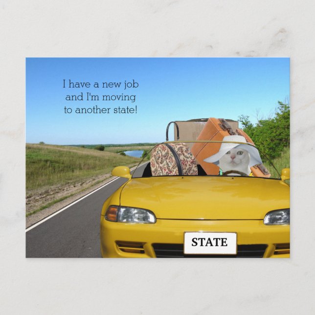 Maßgeschneiderte Funny Cat/Kitty Moving Ankündigungspostkarte (Vorderseite)