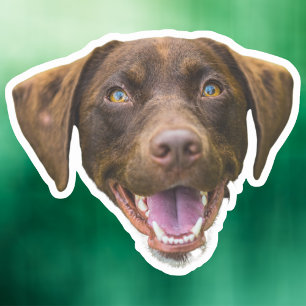 Maßgeschneiderte Hundeankleber, Hundeschenkgeschen Aufkleber