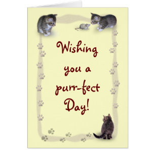 Maßgeschneiderte Katze