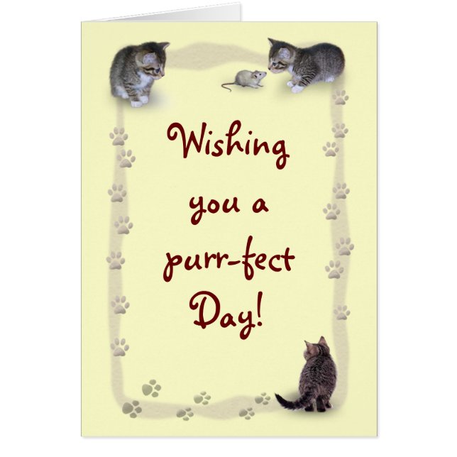 Maßgeschneiderte Katze (Vorne)