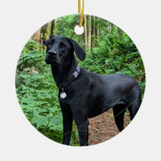 Maßgeschneiderte Keramik Keramik Ornament