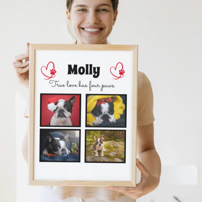 Maßgeschneiderte Kollage für Hunde 4 Fotos Fotoplatte (Von Creator hochgeladen)
