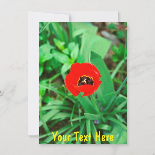 Maßgeschneiderte rote Tulpe Karte (Vorderseite)