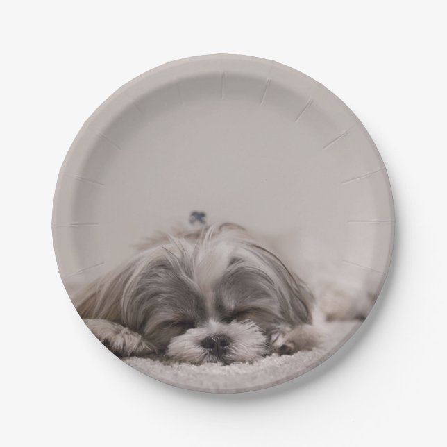 Maßgeschneiderte Shih-Tzu-Platte, Schlafhund Pappteller (Vorderseite)