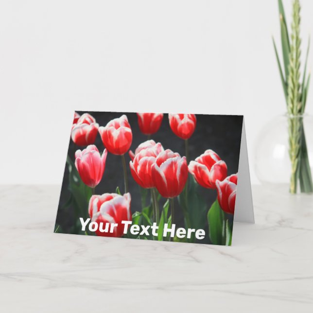 Maßgeschneiderte Tulpen in Rot und Weiß Karte (Vorderseite)
