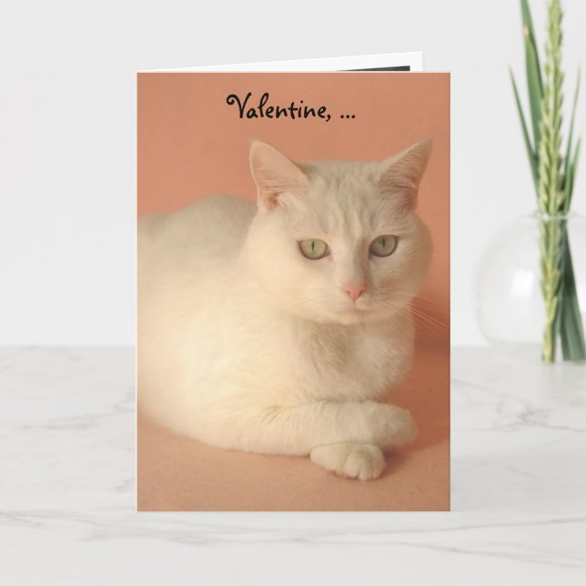 Maßgeschneiderte Valentinkatzen Feiertagskarte (Vorderseite)