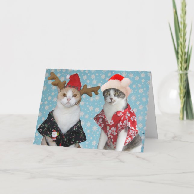 Maßgeschneiderte Weihnachtskatzen Feiertagskarte (Vorderseite)