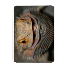 Maßgeschneiderter Bartdrache Magnet