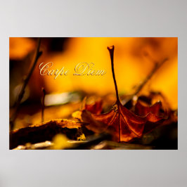 Maßgeschneiderter Carpe Diem mit farbigen Blättern Poster