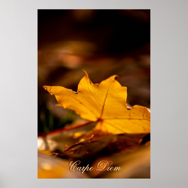 Maßgeschneiderter Carpe Diem mit farbigen Blättern Poster (Vorne)