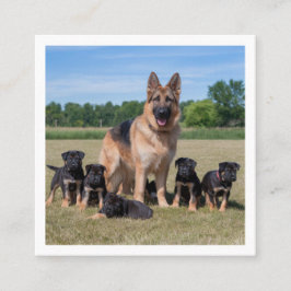 Maßgeschneiderter Deutscher Hirte mit Adorable Wel Quadratische Visitenkarte