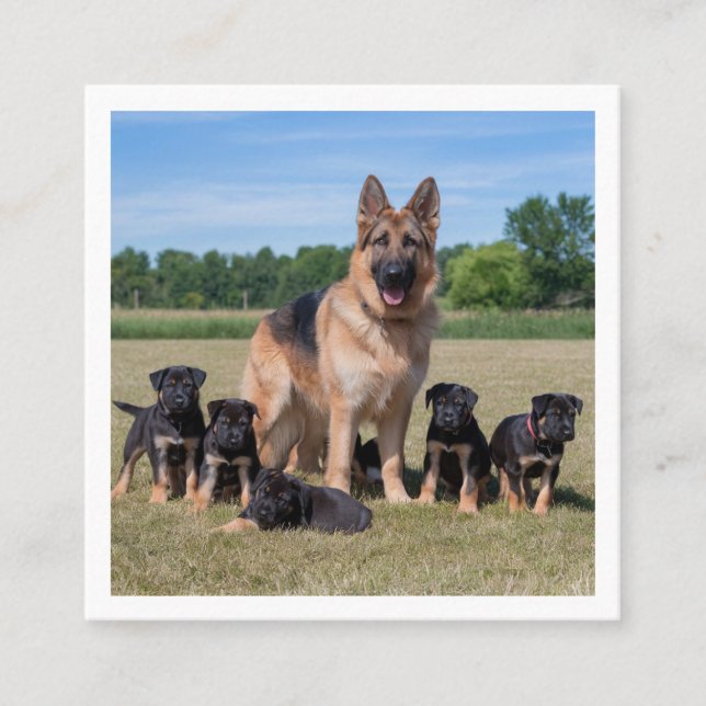Maßgeschneiderter Deutscher Hirte mit Adorable Wel Quadratische Visitenkarte (Vorderseite)