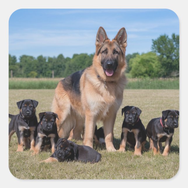 Maßgeschneiderter Deutscher Hirte mit Adorable Wel Quadratischer Aufkleber (Vorderseite)