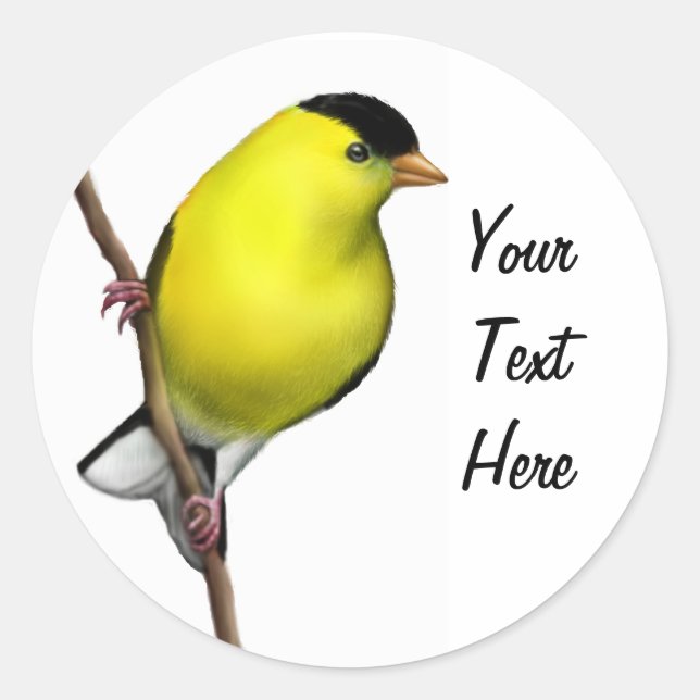 Maßgeschneiderter Goldfinch-Aufkleber für männlich Runder Aufkleber (Vorderseite)