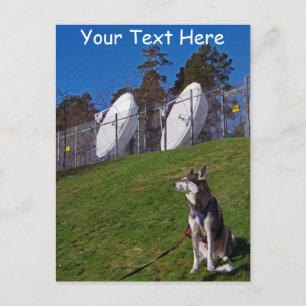 Maßgeschneiderter Tracker Postkarte