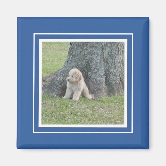 Maßgeschneidertes Foto Template Stilvoll Royal Blu Magnet (Vorne)