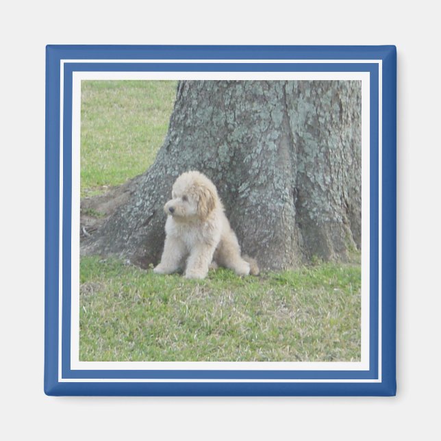 Maßgeschneidertes Foto Template Stilvoll Royal Blu Magnet (Vorne)