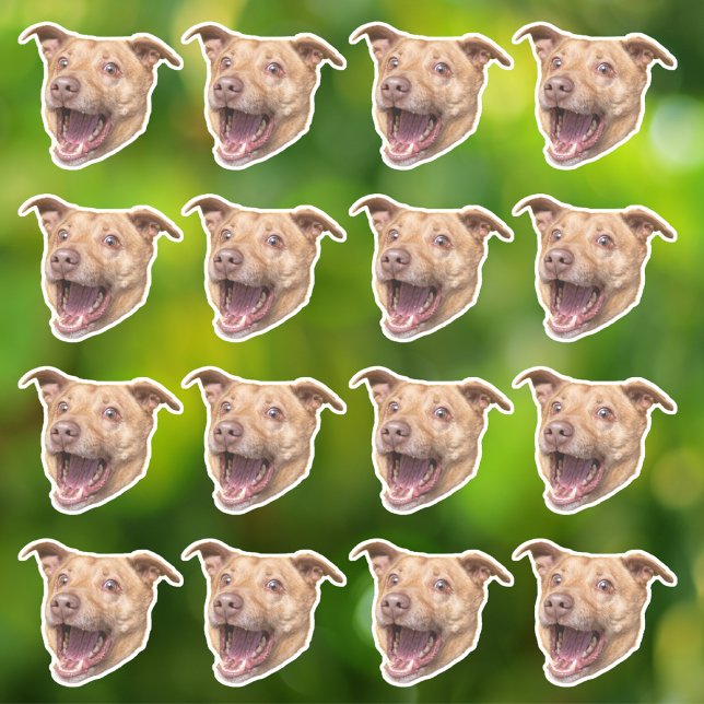 Maßgeschneidertes Foto Wasserfeste Vinyl Stickers Aufkleber (Von Creator hochgeladen)