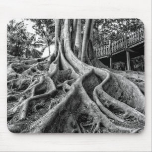 Massive Wurzeln eines Gummibaums Mousepad