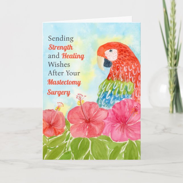 Mastectomy Healing Scarlet Macaws, Hibiscus Karte (Vorderseite)