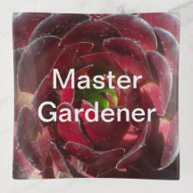 Master Gardener Coastal Pflanze Foto Red Succulent