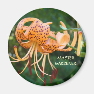 MASTER GARDENER Magnet Orange Tiger Lilien Magnete