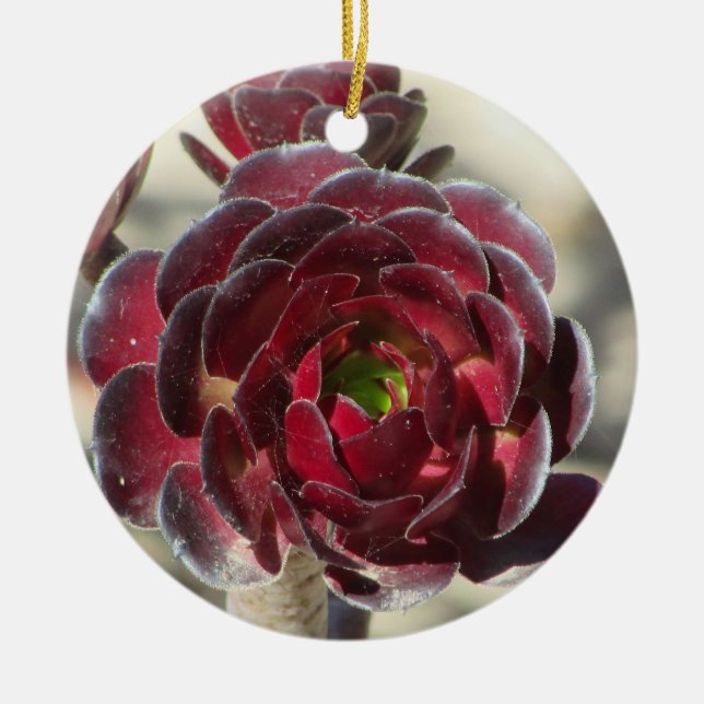 Master Gardener Wüste Landscaper Foto Rote Pflanze Keramik Ornament (Vorne)