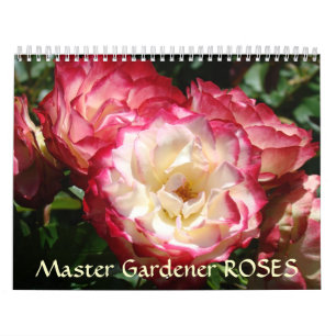 MASTER GÄRTNER ROSEN Kalender Rose Blumen