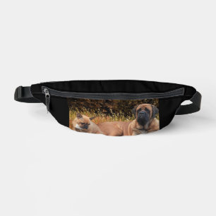 Mastiff avec Bouledogue français