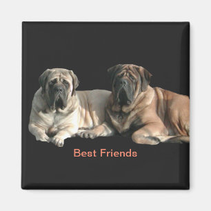 Mastiff beste Freunde Magnet