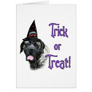 Mastiff (broche) Trick