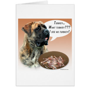 Mastiff (brosse) Turquie