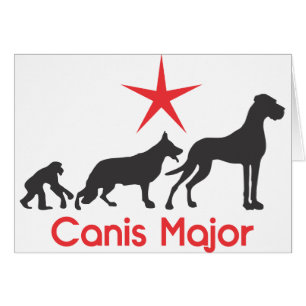 Mastiff Canis major allemand
