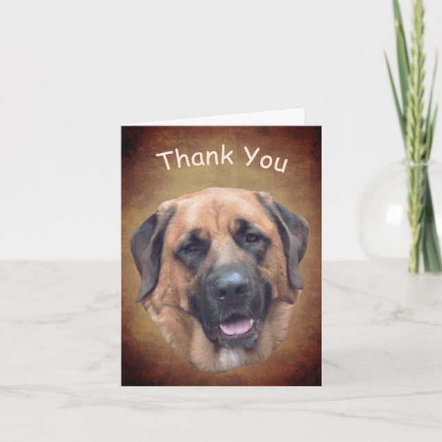 Mastiff Chien Carte de remerciements personnalisab (Devant)