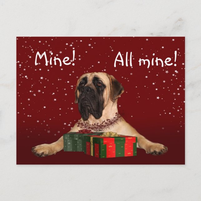 Mastiff Christmas Feiertagspostkarte (Vorderseite)