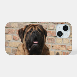 Mastiff Dogge Vatertag