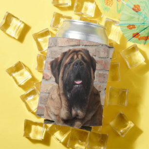 Mastiff englische Dogge Dosenkühler