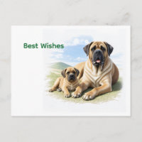 Mastiff englische Dogge mit Kind im Urlaub