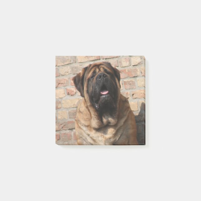 Mastiff englische Dogge Post-it Klebezettel (Vorderseite)