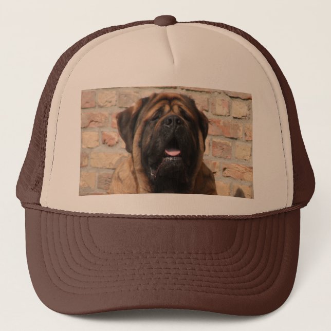 Mastiff englische Dogge Truckerkappe (Vorderseite)