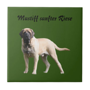 Mastiff englische Dogge Urlaub Fliese