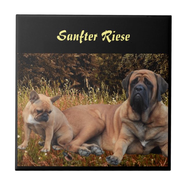 Mastiff  englische Dogge Urlaub  Fliese (Vorderseite)