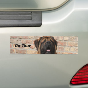  Mastiff englische Dogge Vatertag  Autoaufkleber