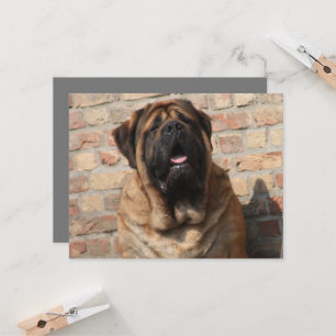 Mastiff englische Dogge Vatertag Einladung