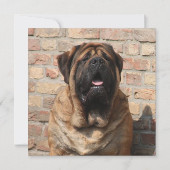 Mastiff englische Dogge Vatertag Einladung (Vorderseite)